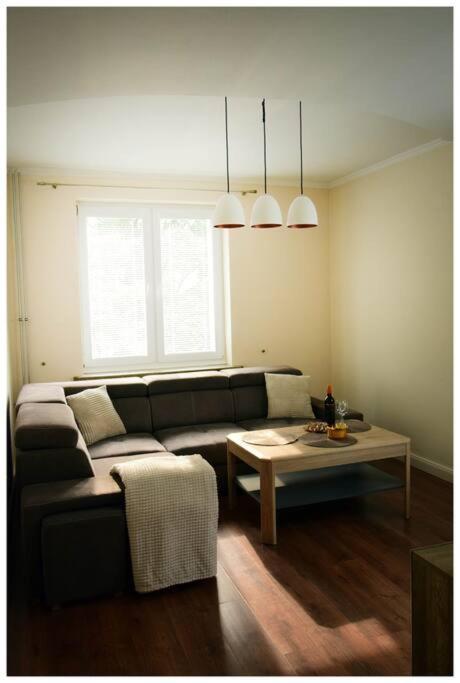 Color 24 Apartament VII Stalowa Wola Zewnętrze zdjęcie
