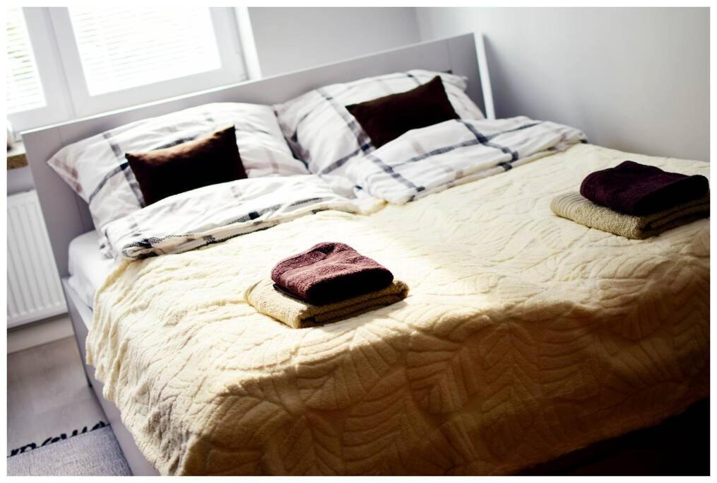 Color 24 Apartament VII Stalowa Wola Zewnętrze zdjęcie